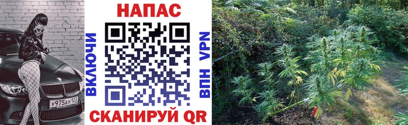 дарнет шоп  Новомосковск  Каннабис Ganja 